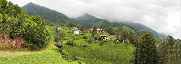 Hahana