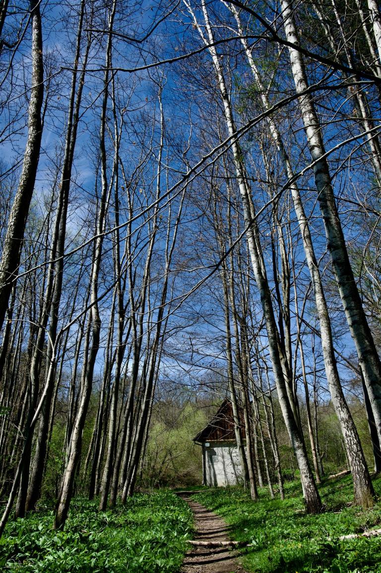 Reichenbach Hütte