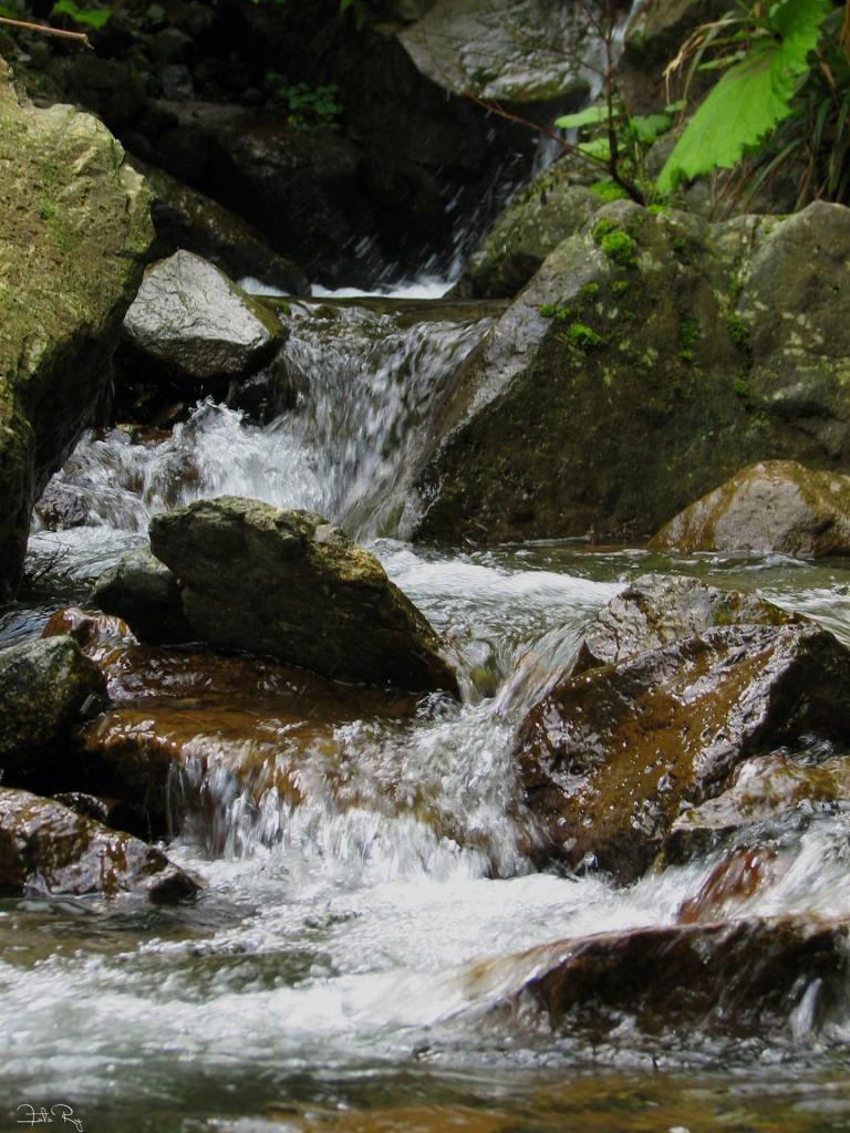 Omcore Ruba