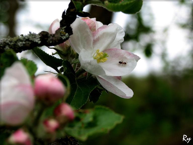 Frühling